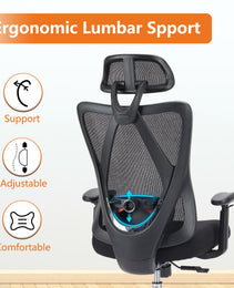 Ergonomic Office Chair