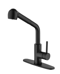 Stainless Steel Matte Black Single Handle Pull Out Spray, Kitchen Faucet
