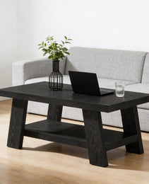 Ample Storage Coffee Table,2-tier Center Table,Chating Table