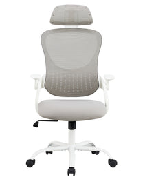 Ergonomics Office Computer Desk And Chair