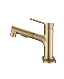 Bathroom Sink Faucet With Pull Out Sprayer, Single Handle Modern Bathroom Basin Faucet With Pop-up Sink Drain Stopper & Deck Plate,Brushed Gold