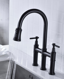 Pull Down Dual Handle Kitchen Faucet