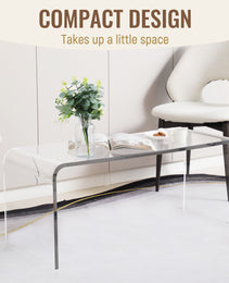 Coffee Table, 39inch Acrylic Long Rectangle Tea Table , Clear
