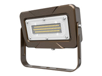 Flood Light RZ 110V 5000k Yoke 10w
