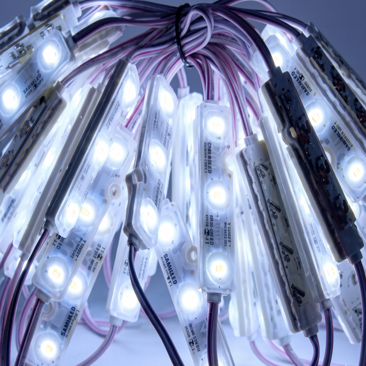 Module Light - 12V 50 Pieces IP68 - 5000K
