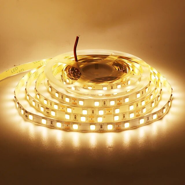 Strip Lights (5050) 12V CW+WW - 16.4FT - IP65