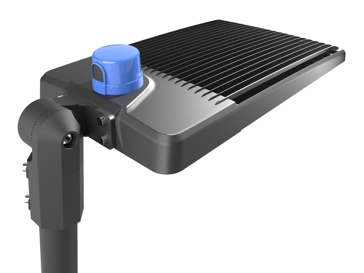 Shoebox 100w black RZ with photocell