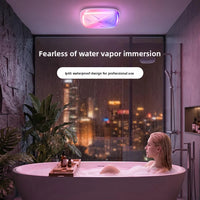 RGB Smart LED Ceiling Light 16M Colors Music Sync IP44 Waterproof Remote Control Home Lighting