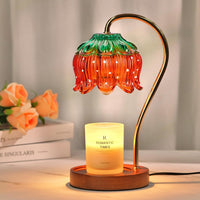 Pink&Green Candle Warmer Lamp W/Timer, Christmas Birthday Gifts for Women
