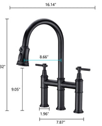 Pull Down Dual Handle Kitchen Faucet