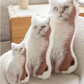  Picture Color