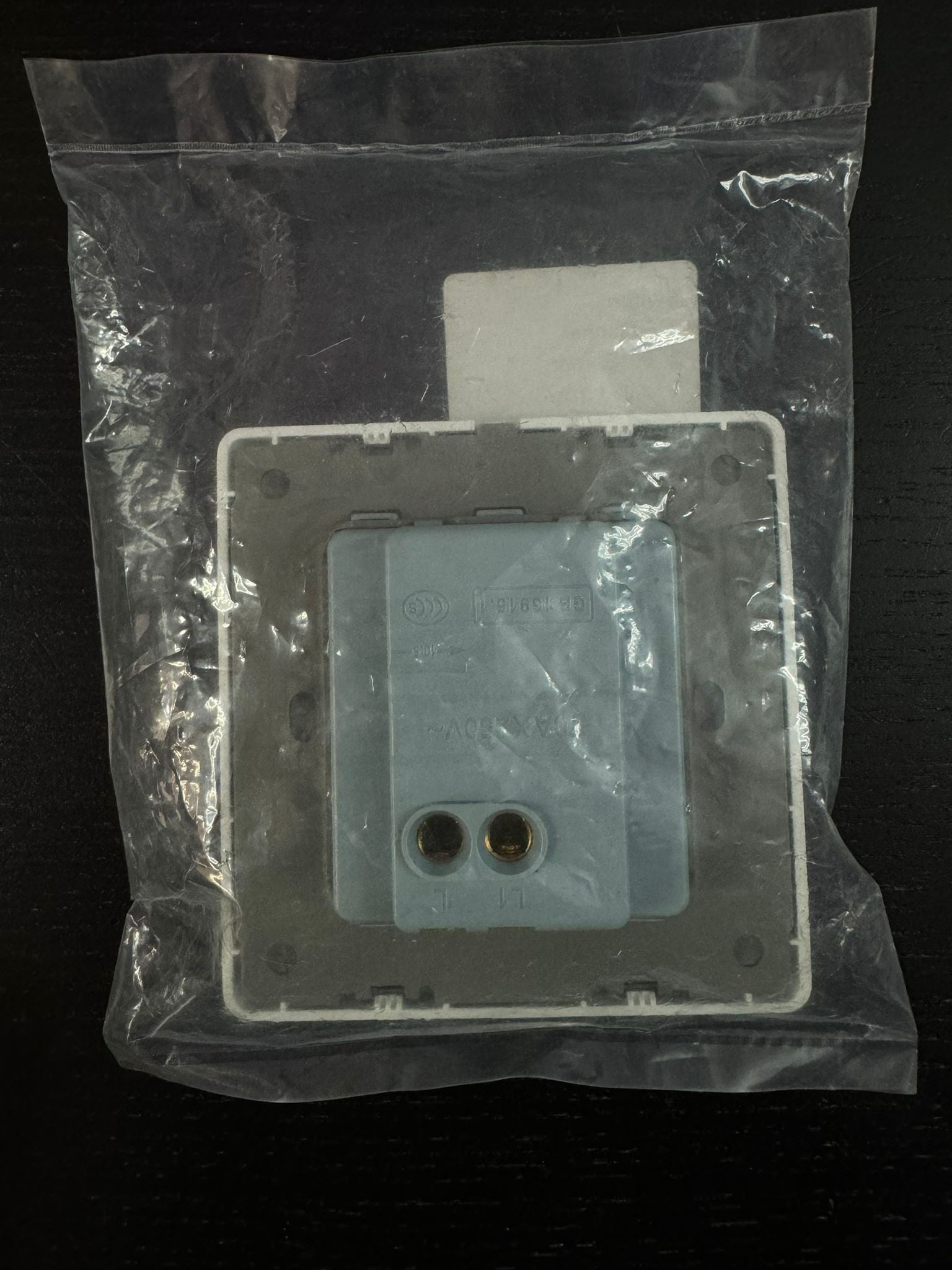 One Channel Regular Switch Europe 120V