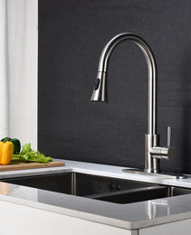 Kitchen Faucet With Pull Out Spraye