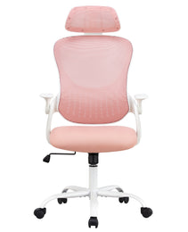 Ergonomics Office Computer Desk And Chair