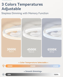 20 Inch White Ceiling Fan With Remote Control  LED Lighting
