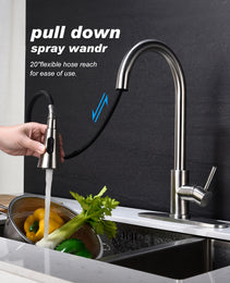 Kitchen Faucet With Pull Out Spraye
