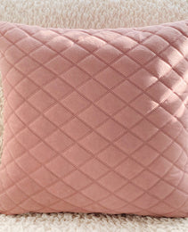 Living Room Home Pillows With Fabric Art Velvet Cushions
