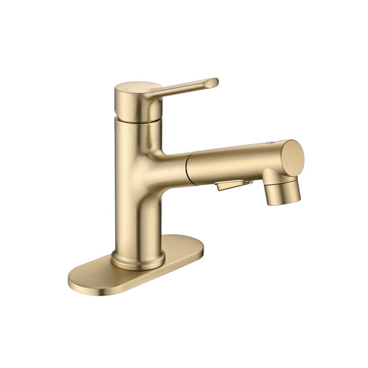 Bathroom Sink Faucet With Pull Out Sprayer, Single Handle Modern Bathroom Basin Faucet With Pop-up Sink Drain Stopper & Deck Plate,Brushed Gold