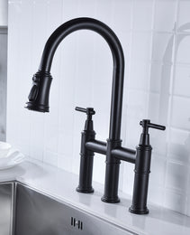 Pull Down Dual Handle Kitchen Faucet