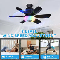 RGB Color Changing LED Ceiling Fan Light Ultra-quiet E27 Screw Remote Bluetooth Music Timer Smart Remote Bedroom Lighting