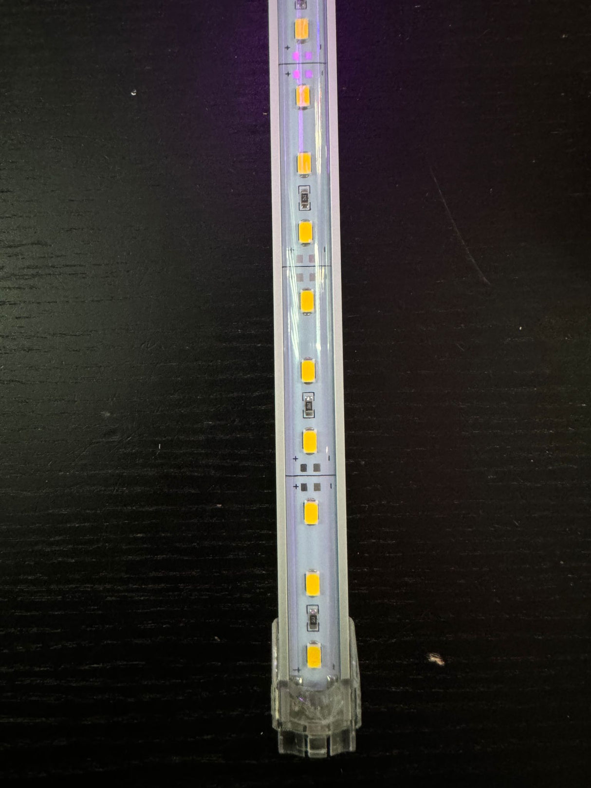 Rigid Bar WW 24" 12V