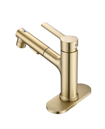 Bathroom Sink Faucet With Pull Out Sprayer, Single Handle Modern Bathroom Basin Faucet With Pop-up Sink Drain Stopper & Deck Plate,Brushed Gold