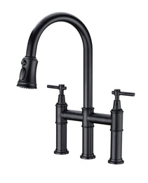Pull Down Dual Handle Kitchen Faucet