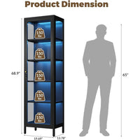69 Glass Display Cabinet with Lock & 13-Color LED Lights, 5-Tier Metal Cabinet for Collectibles, Action Figures, Trophies (Black