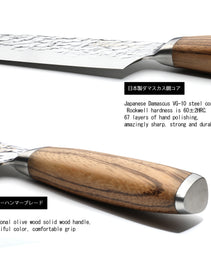 Qulajoy Nakiri Chef Knife 6.5 Inch - Professional Japanese 67 Layers Damascus VG-10 Steel - Hammered Vegetable Cutting Knife - Zebrawood Handle With Sheath