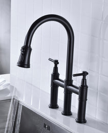 Pull Down Dual Handle Kitchen Faucet