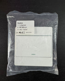 One Channel Regular Switch Europe 120V