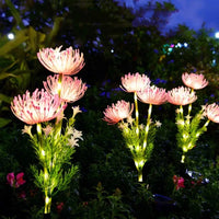 Solar Powered Shore Flower Ground Plug in Lamp Outdoor Waterproof Beautiful Flower Light for Garden Yard Lawn Pathway Decory