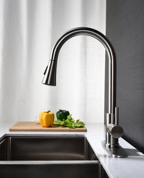 Kitchen Faucet With Pull Out Spraye