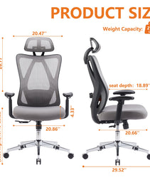 Ergonomic Office Chair