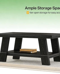 Ample Storage Coffee Table,2-tier Center Table,Chating Table
