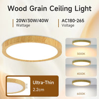 Ultra-thin Led Ceiling Light 220V Bedroom Lamp LED Panel Indoor Lighting for Living Room 3 Colors Adjustments Ceiling Lamp Round
