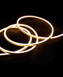 Strip Neon 3000K 12V - 16.4FT IP67 WW