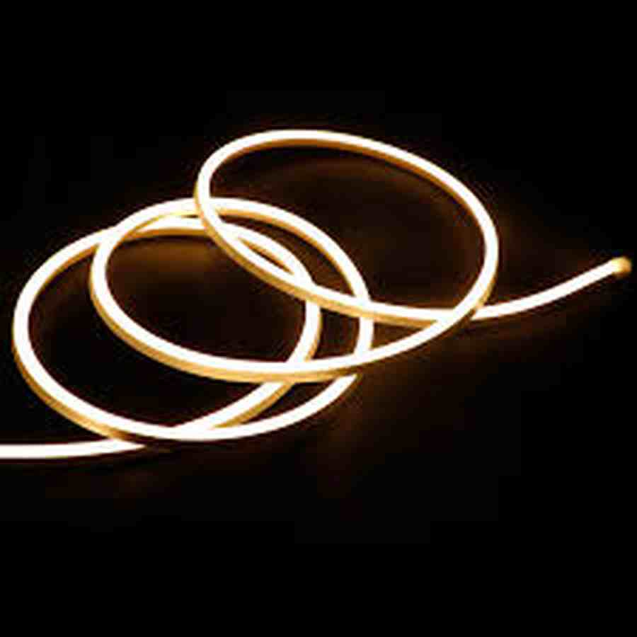 Strip Neon 3000K 12V - 16.4FT IP67 WW