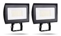 Flood Light RZ 110V 5000k Yoke 10w