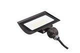 Flood Light RZ  110V knuckle 50w 3000K