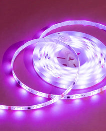 Enhance Your Space with Vibrant 10m - 32FT RGB LED Strip Light | 110V