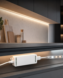 MiLight (2 IN 1 ) E2-RF 12-24V Strip Controller: SINGLE-DUAL COLOR Lighting in Your Hands!