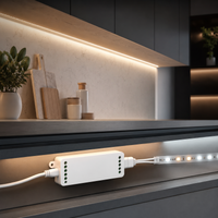 MiLight (2 IN 1 ) E2-RF 12-24V Strip Controller: SINGLE-DUAL COLOR Lighting in Your Hands!